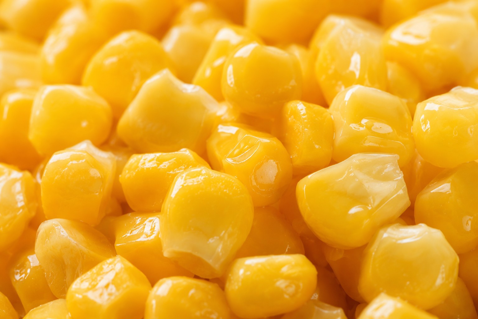 Premium Canned Vegetables